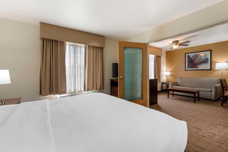 Deluxe King Suite - Non-Smoking image 4