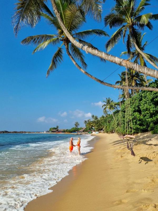 Coconut Palm beach restaurant and rooms - image 12