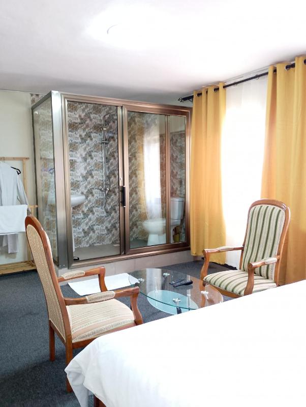 Hôtel particulier HP - image 7