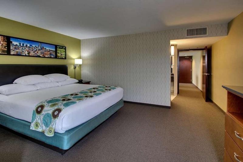 Deluxe King Suite - Non-Smoking image 4
