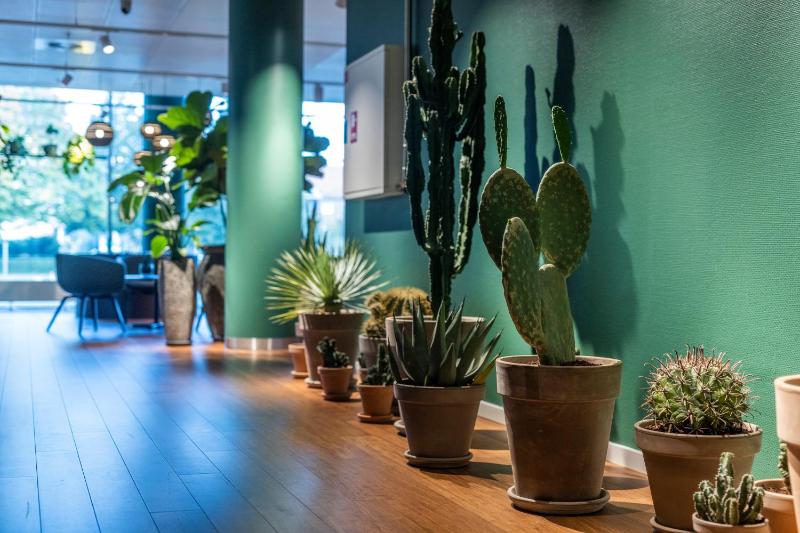 Park Room Top Floor image 2