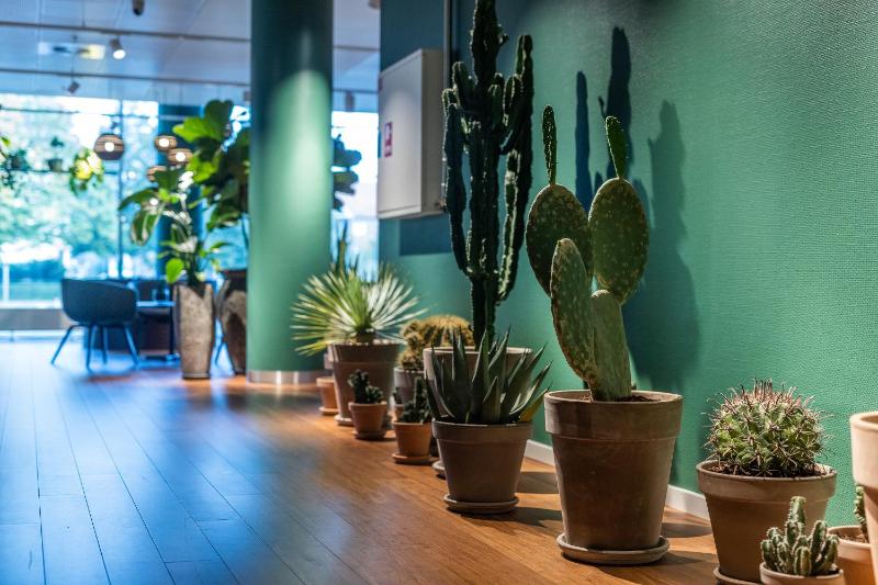 Courtyard Twin image 2