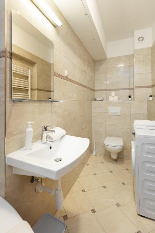 One-Bedroom Apartment image 4