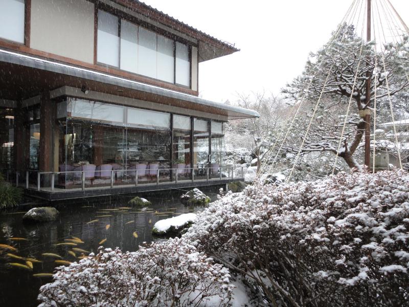 Yoshimatsu - image 15