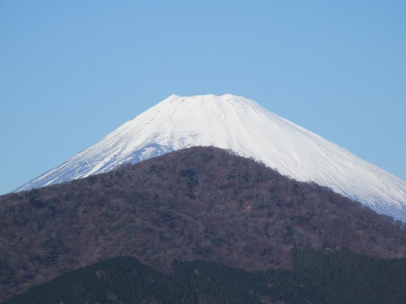 Yoshimatsu - image 12