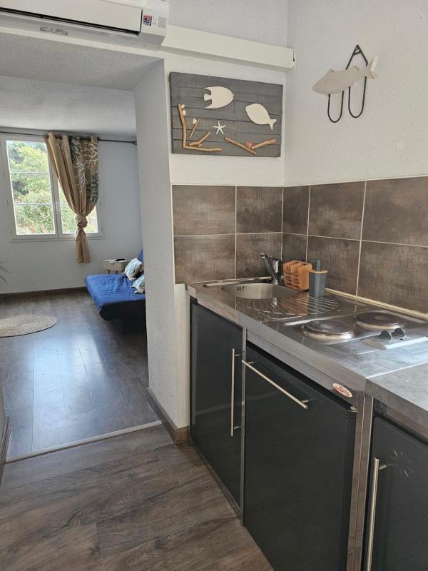 One-Bedroom Apartment  image 1