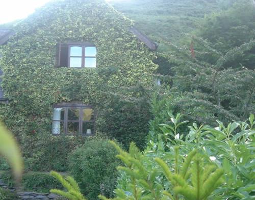 Two-Bedroom House - Annexe image 1