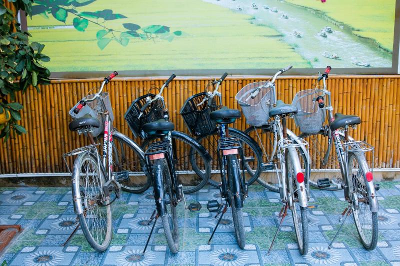 Tam Coc Viet Ha Homestay - image 13