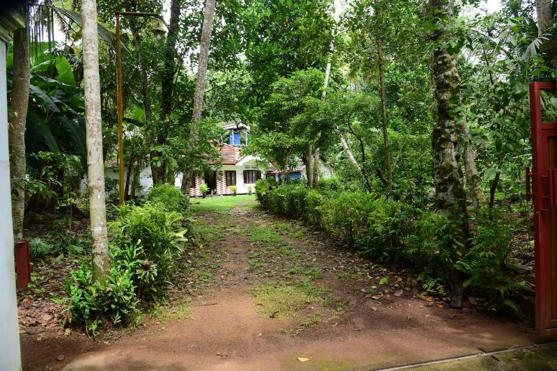 New Nature Garden Hikkaduwa - image 3