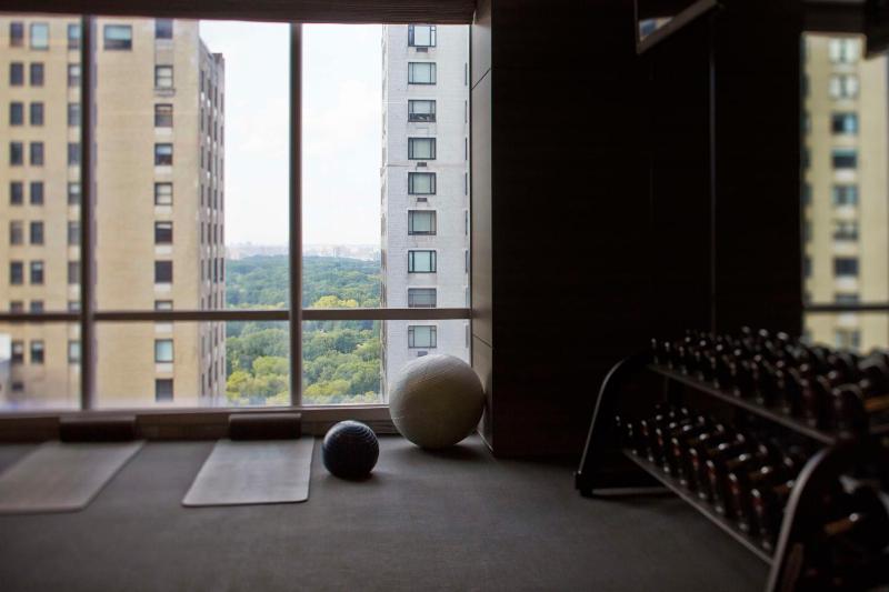 Park Hyatt New York - image 8