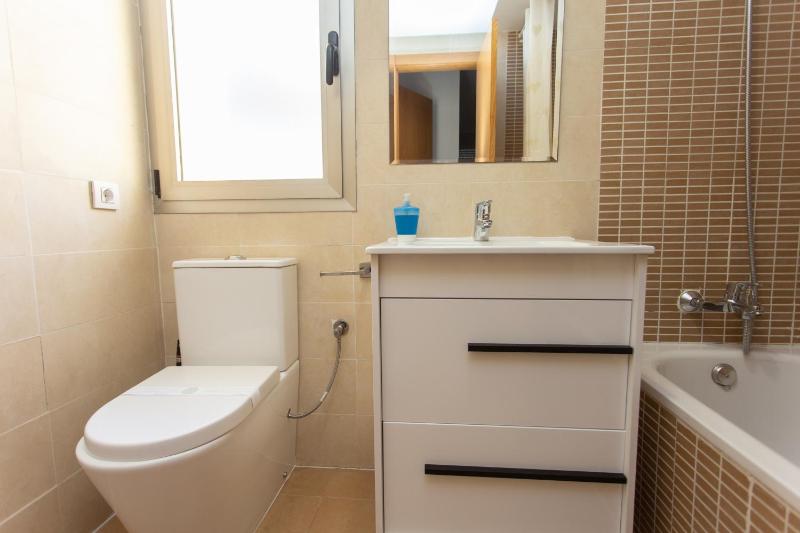 Penthouse Apartment image 4