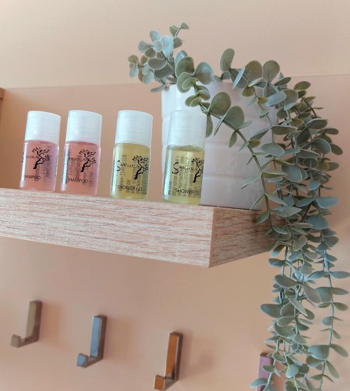 Standard Double Room image 3