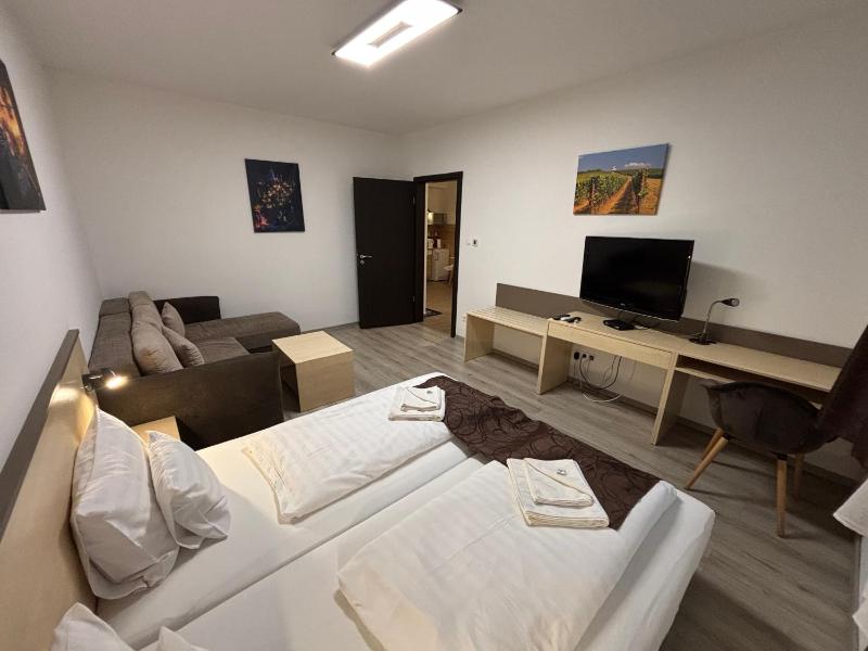 Two-Bedroom Family Apartment image 1