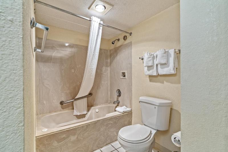 One-Bedroom Apartment image 2