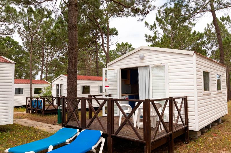 Mobile Home (2 Adults) image 2