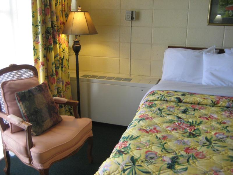 Double Bed with Sleeper Sofa, Ocean View and Kitchenette image 3