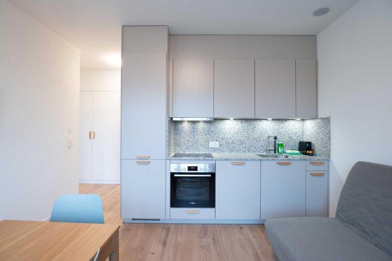 One Bedroom Apartment with balcony Q image 4