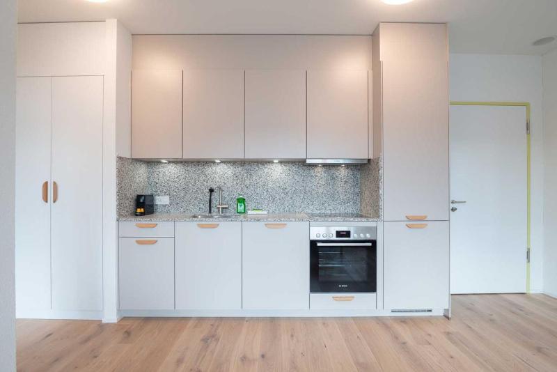 One Bedroom Apartment with balcony L image 4