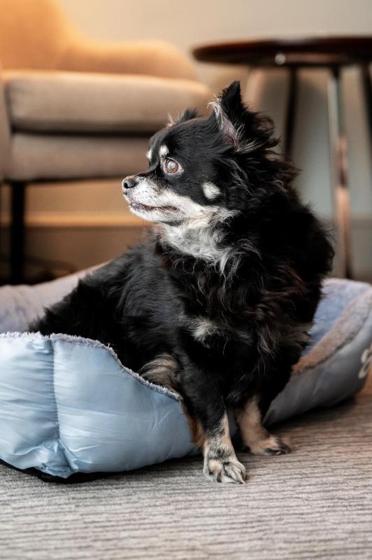 Garden Room Double image 2