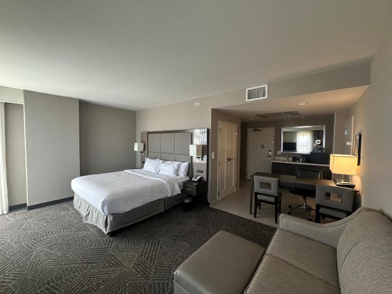 King Studio Suite - Hearing Accessible image 3