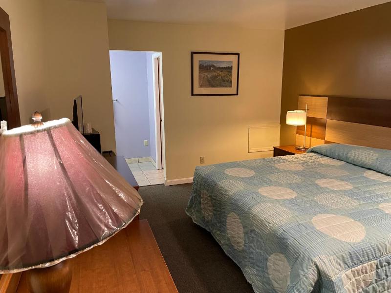Deluxe King Suite image 1