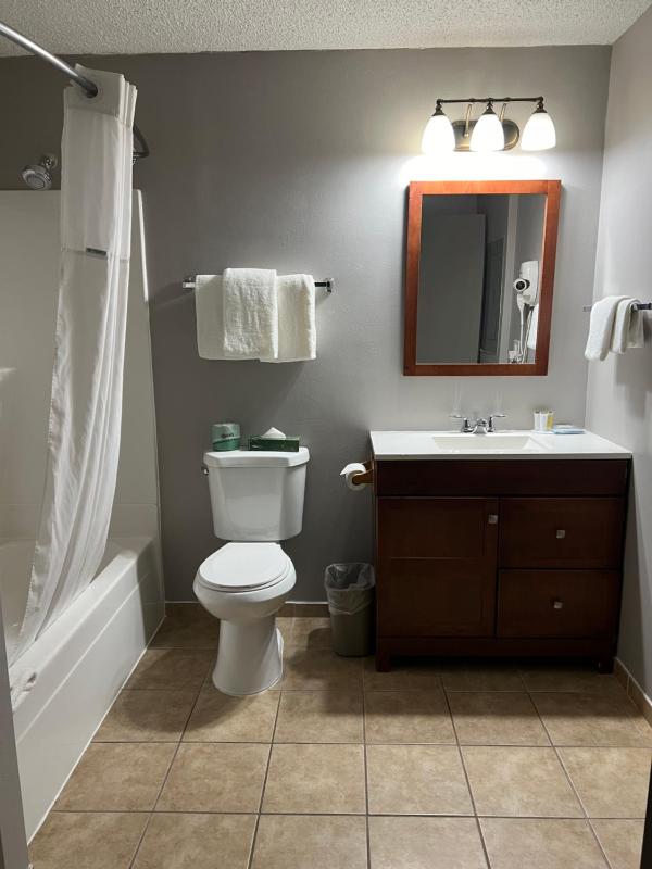 King Studio Suite - Non-Smoking image 2