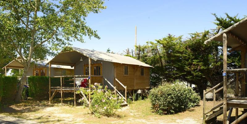 Camping Le Bois d'Amour - image 19