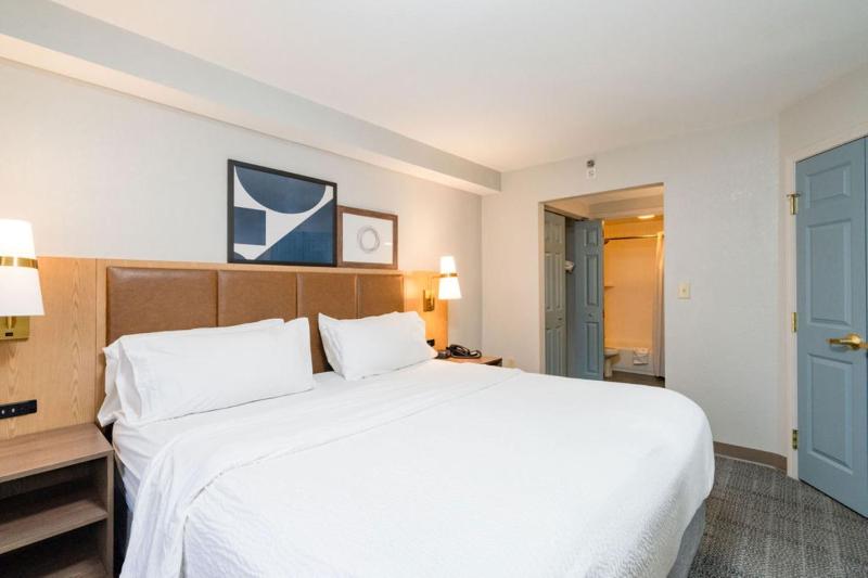 One-Bedroom King Suite image 3
