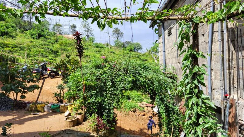 Cozy House Hostel - image 12