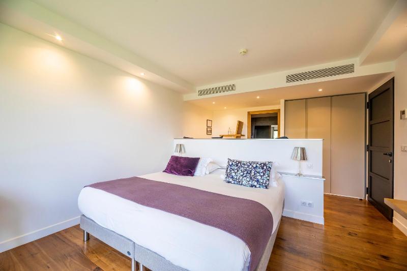 Deluxe Double Room image 1