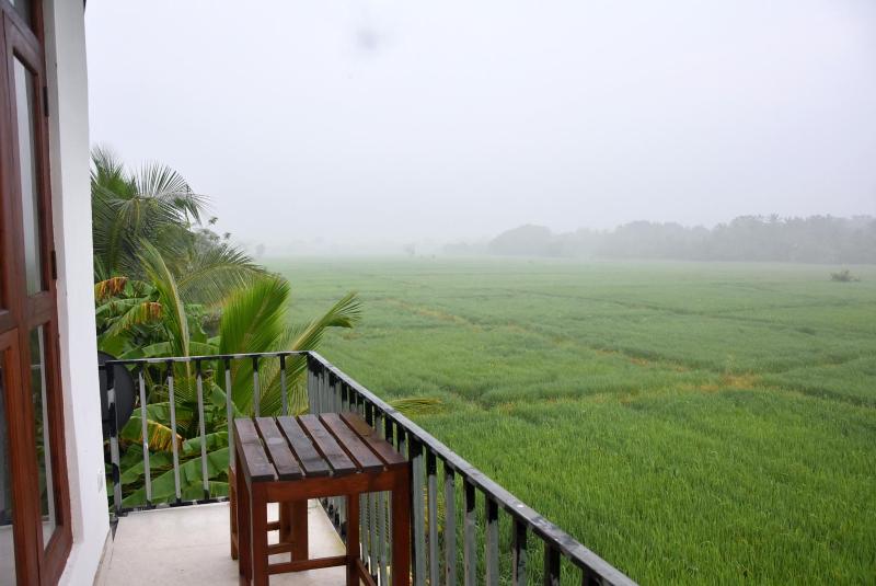 Lotus Leaf Resort - image 8