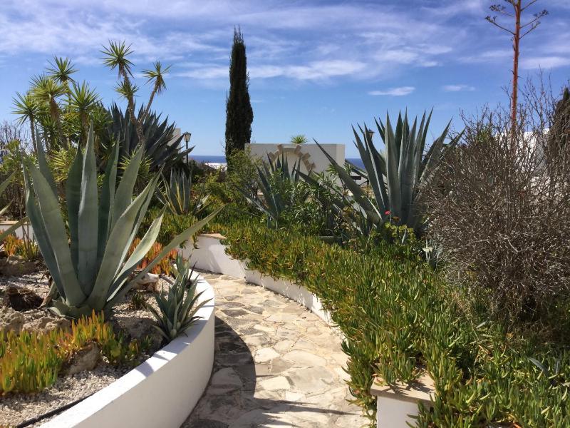 Ikaria Village Studio - image 7