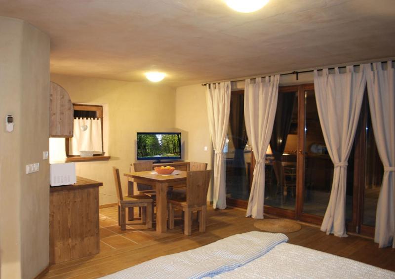 Studio with Terrace image 3