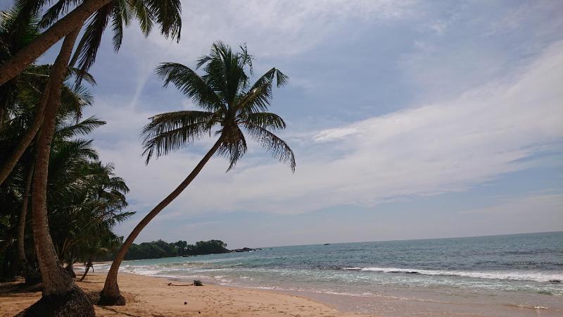 Paddy view villa near Bentota - image 5