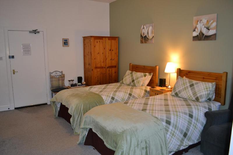 Twin Room - Disability Access image 4