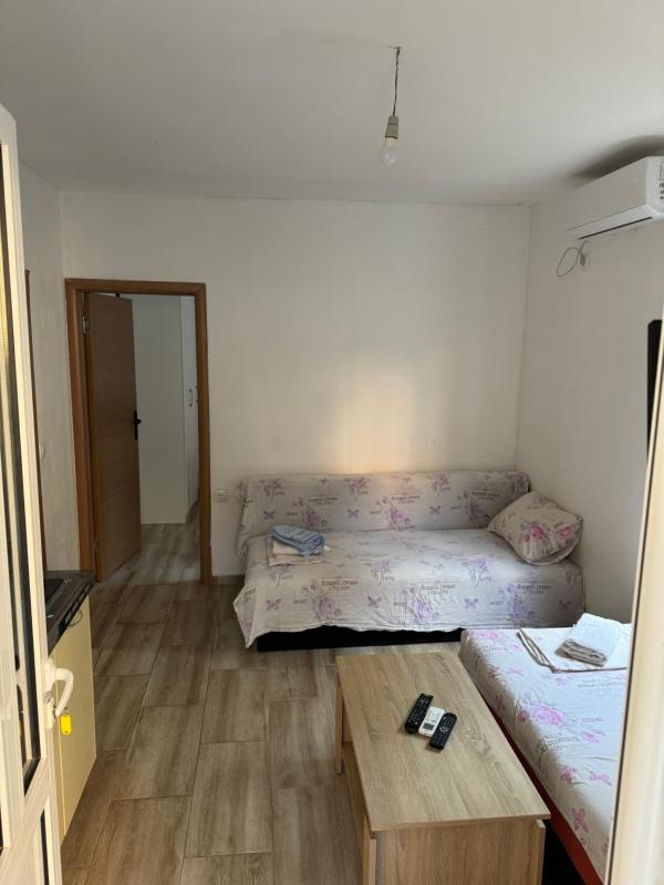 Apartment - Ground Floor image 4