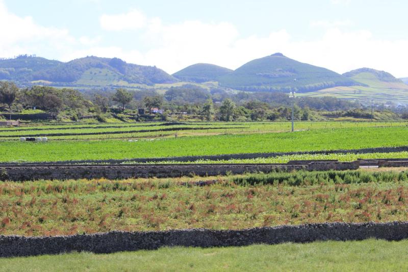 Double Room with Mountain View image 2