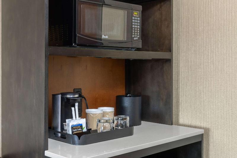 One-Bedroom Suite image 4