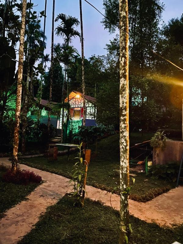 Josh Holidays Wayanad - image 7
