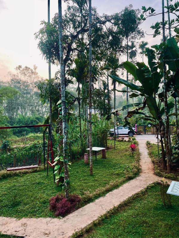 Josh Holidays Wayanad - image 9