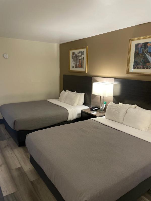 Queen Room with Two Queen Beds - Disability Access/Non-Smoking image 4
