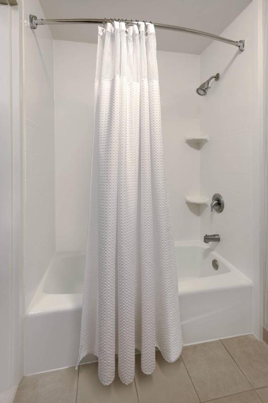 One-Bedroom King Suite image 2