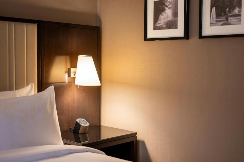 Deluxe Room, Guest room, 1 Queen image 3