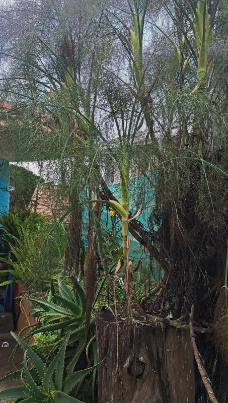 Smiley Homestay Family-Friendly 3BR - image 3