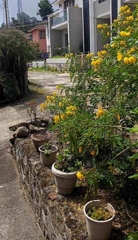 Smiley Homestay Family-Friendly 3BR - image 19