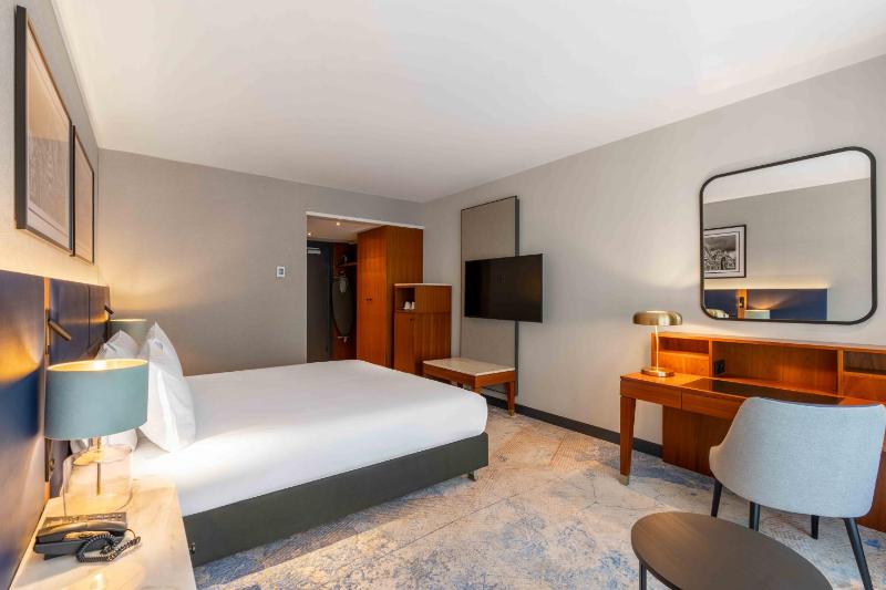 Superior King Room image 4