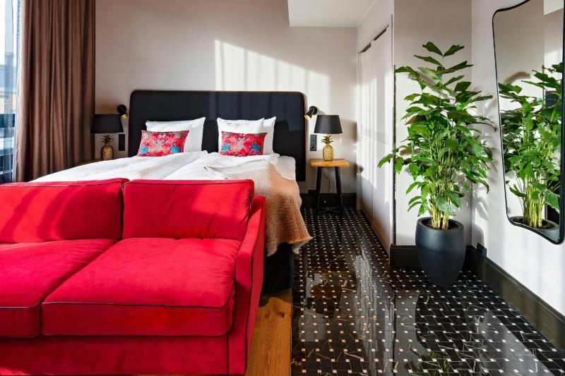 Trendy, 1 King bed  image 4