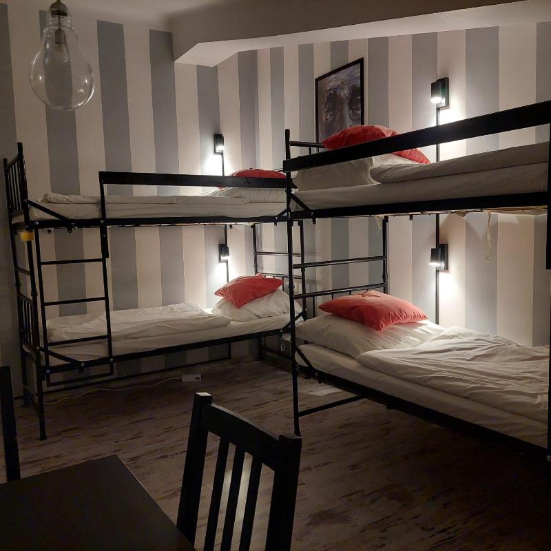 Bed in 4-Bed Female Dormitory Room image 3