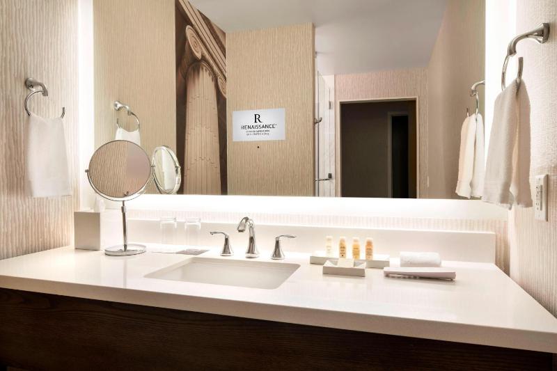 Renaissance Denver Downtown City Center Hotel - image 14