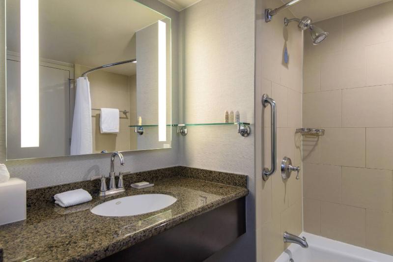 King Room - Allergy Friendly - (No Resort Fees) image 4